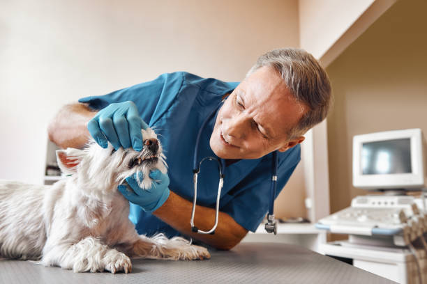 Best Emergency Tooth Extraction in Fordyce, AR